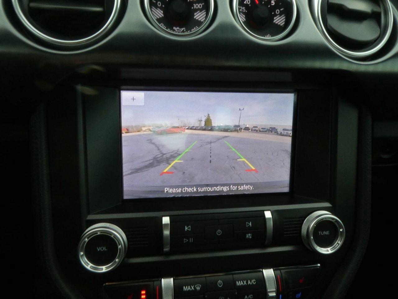 2021 Ford Mustang Mach 1 Photo