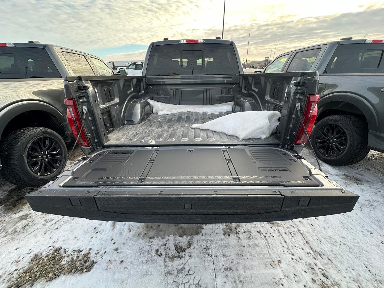 2026 Ford F-150 XLT 4WD SuperCrew 5.5' Box 302A Photo