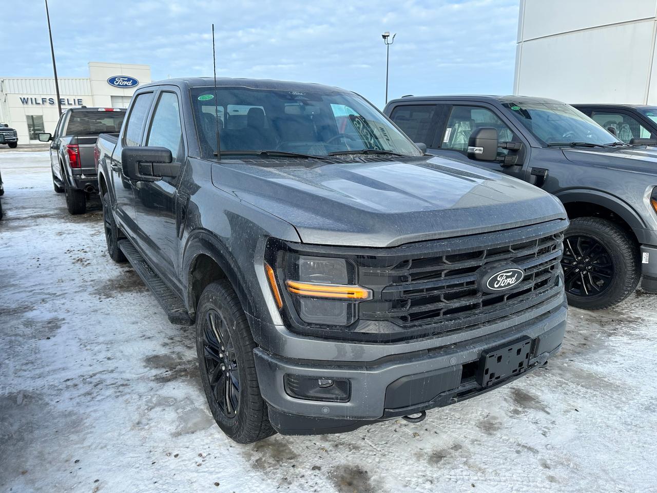 2026 Ford F-150 XLT 4WD SuperCrew 5.5' Box 302A Photo