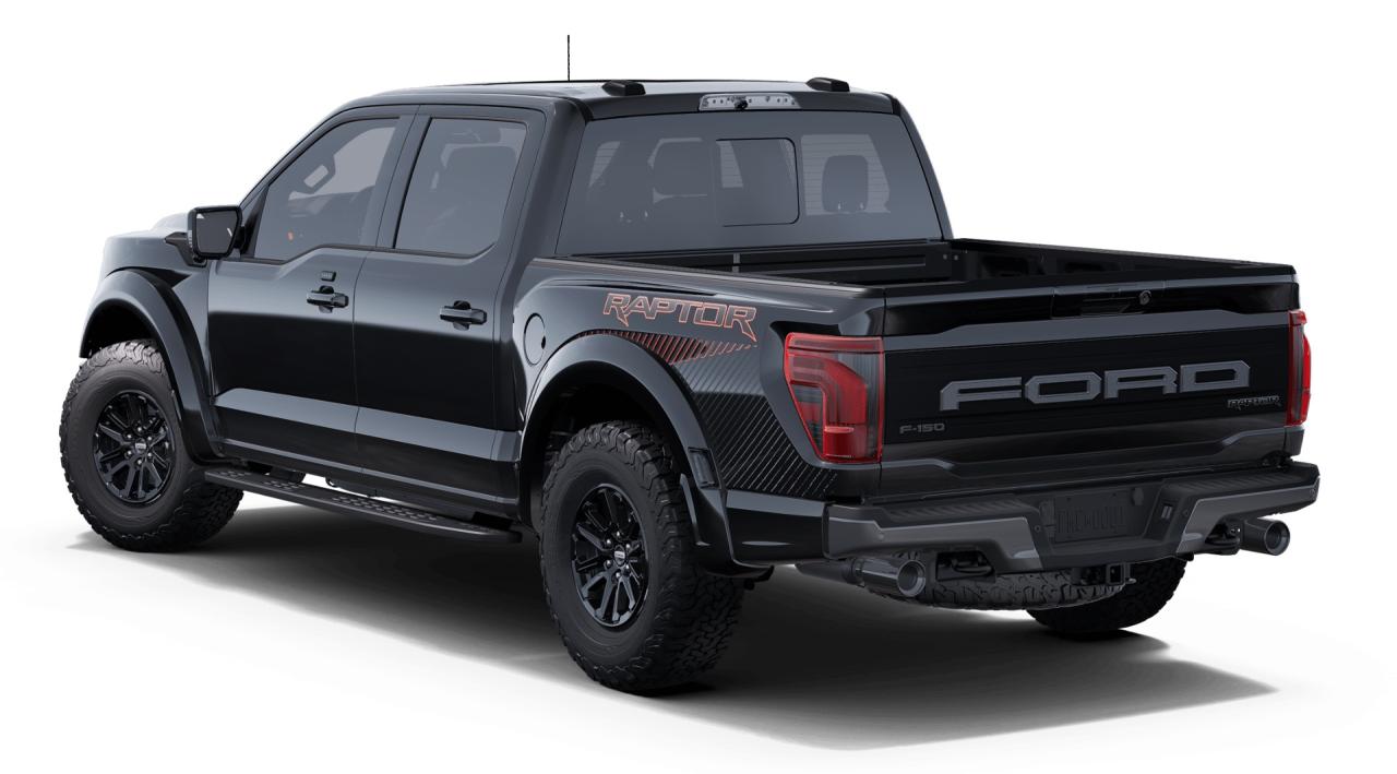 2025 Ford F-150 RAPTOR 4WD SuperCrew 5.5' Box 801A Photo
