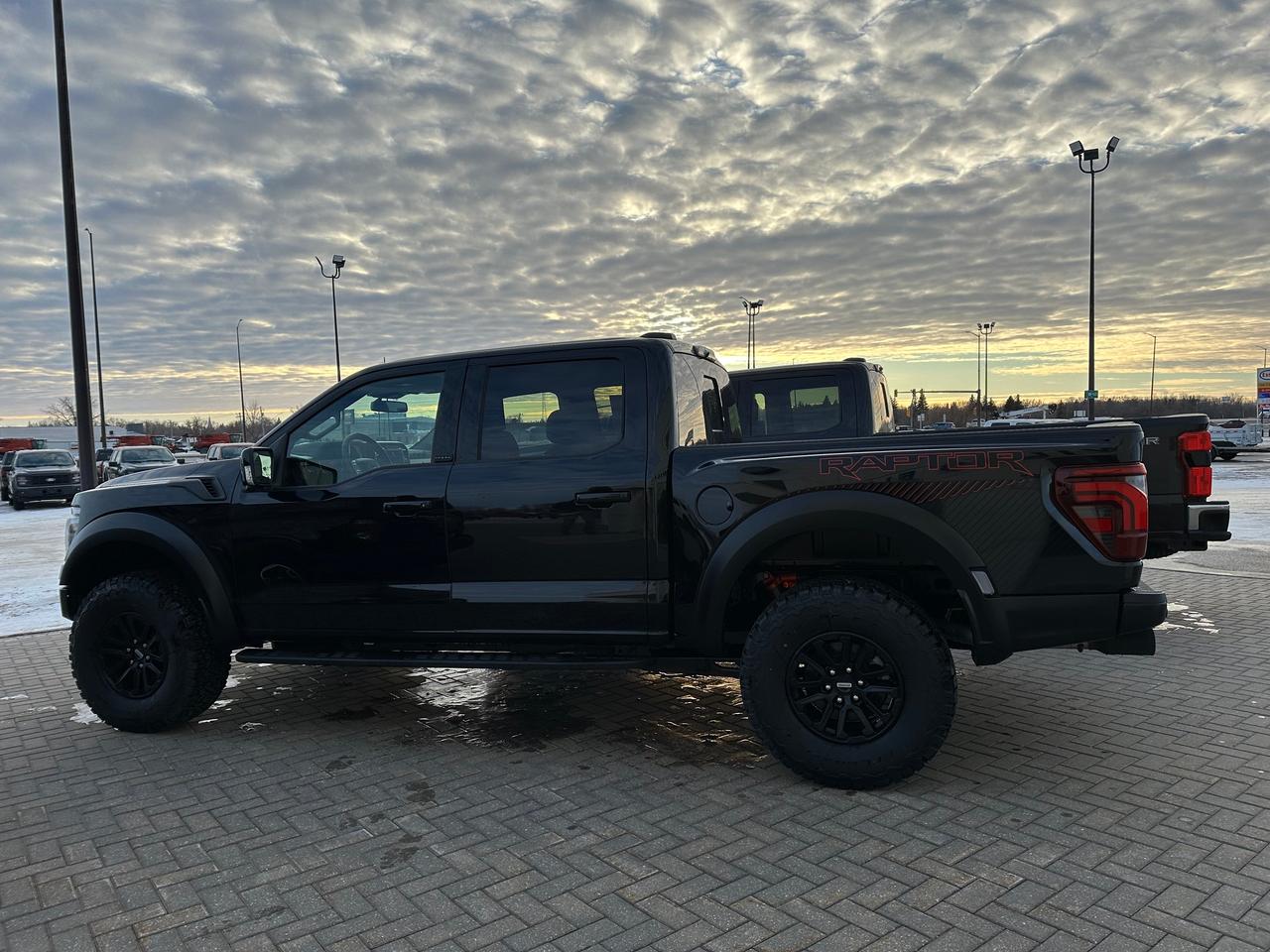 2025 Ford F-150 RAPTOR 4WD SuperCrew 5.5' Box 801A Photo5