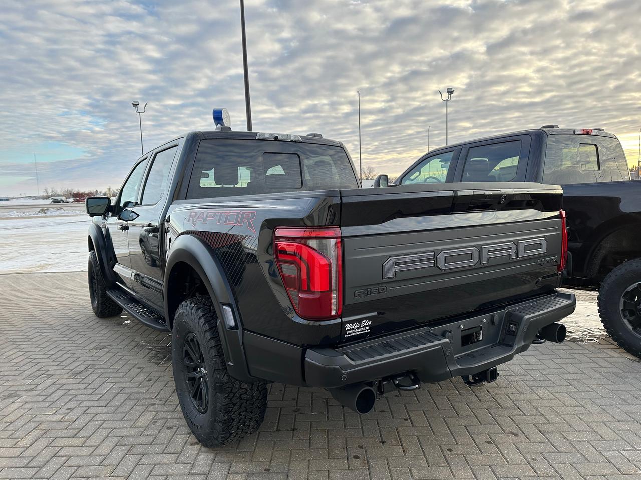2025 Ford F-150 RAPTOR 4WD SuperCrew 5.5' Box 801A Photo5