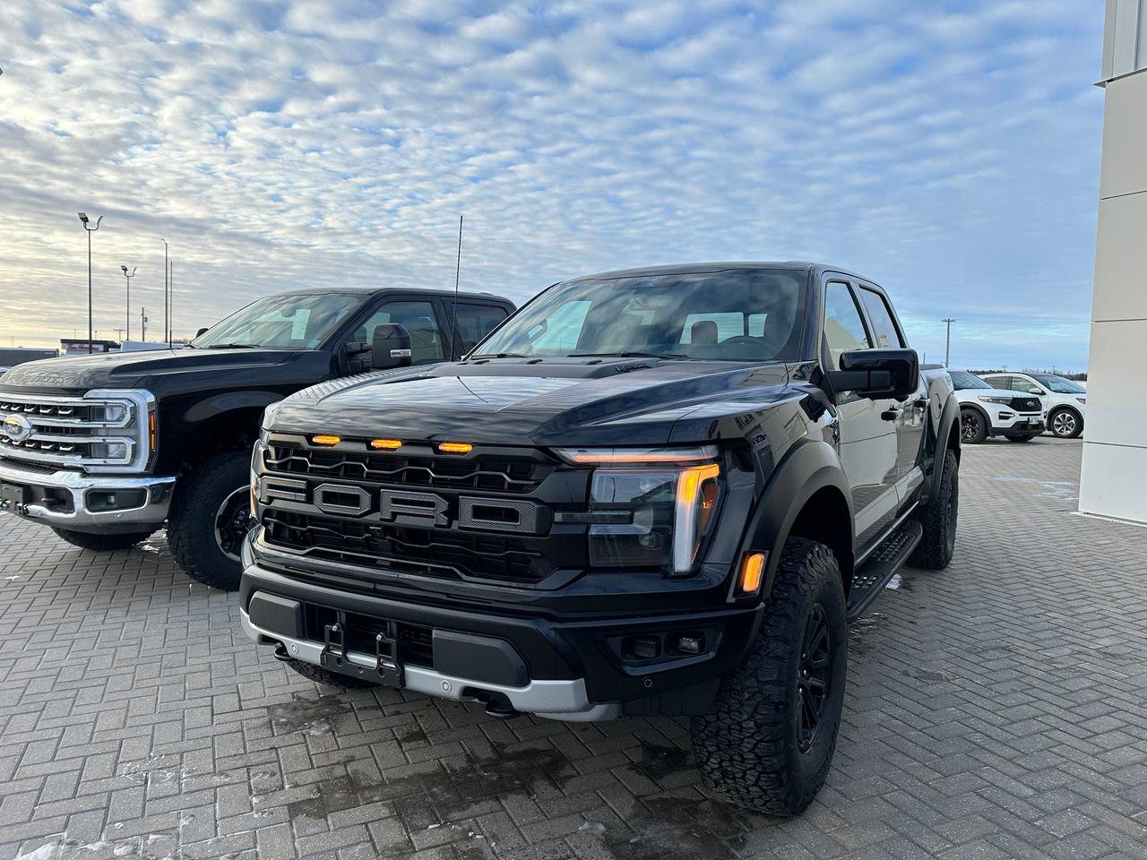 2025 Ford F-150 RAPTOR 4WD SuperCrew 5.5' Box 801A Photo0