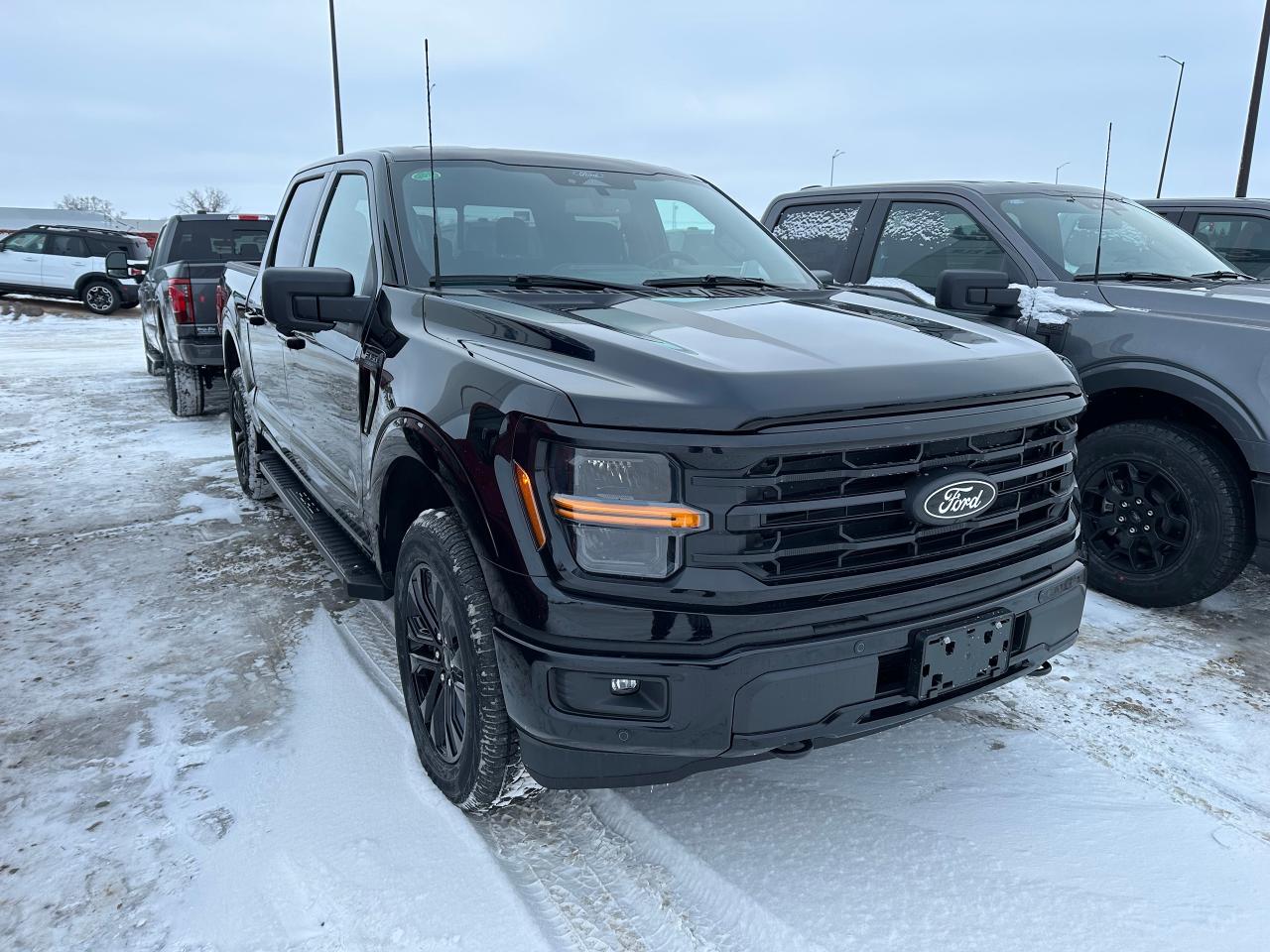 2025 Ford F-150 XLT 4WD SuperCrew 5.5' Box 302A Photo1