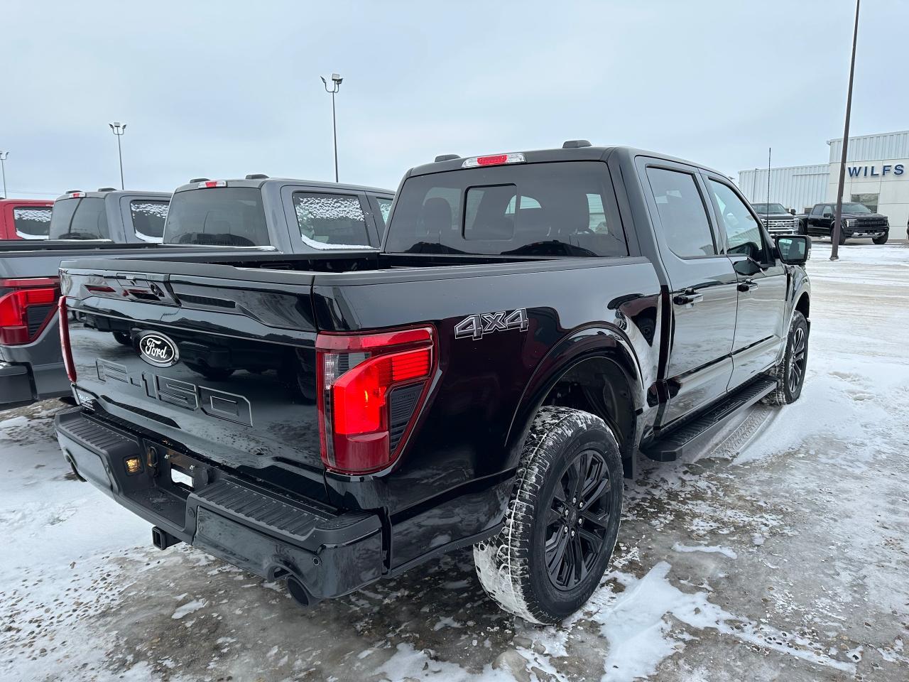 2025 Ford F-150 XLT 4WD SuperCrew 5.5' Box 302A Photo