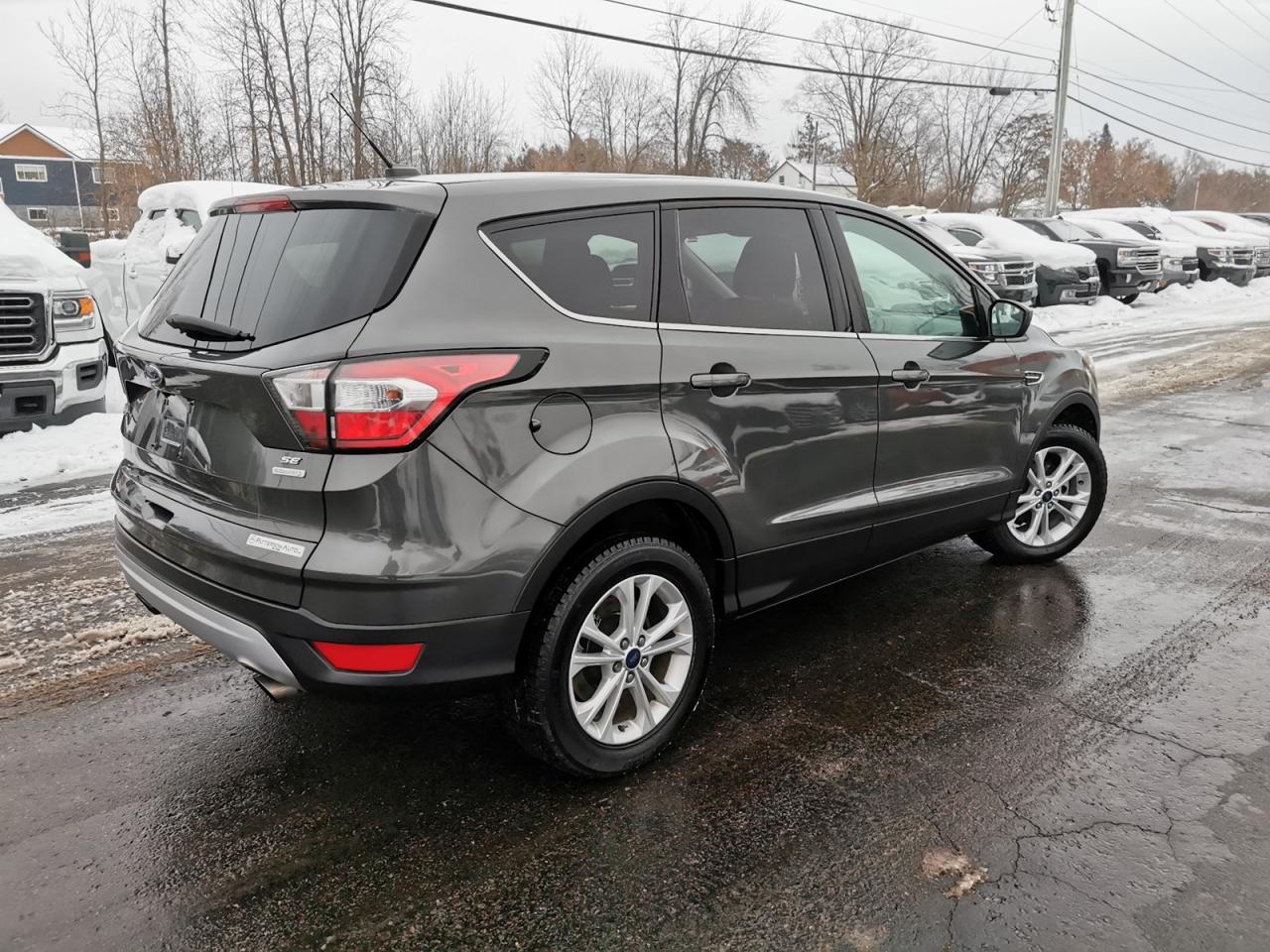 2017 Ford Escape SE Photo