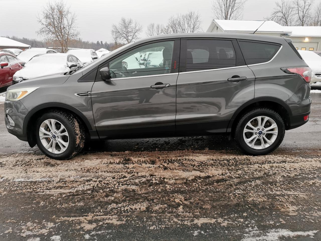 2017 Ford Escape SE Photo