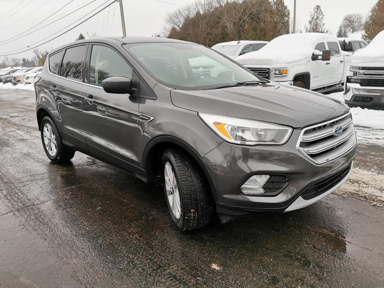 2017 Ford Escape SE Photo