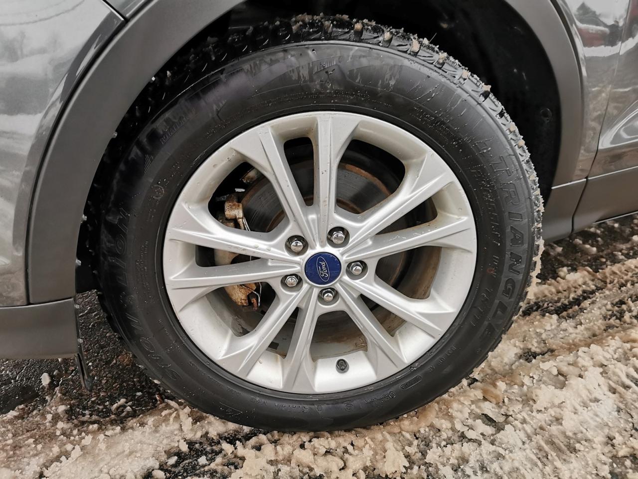 2017 Ford Escape SE Photo