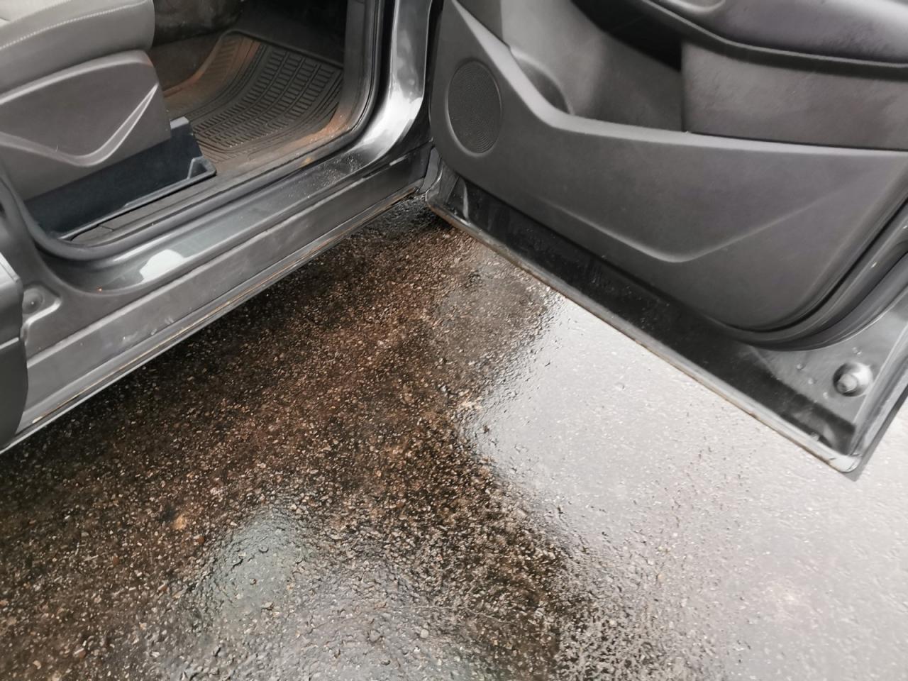 2017 Ford Escape SE Photo