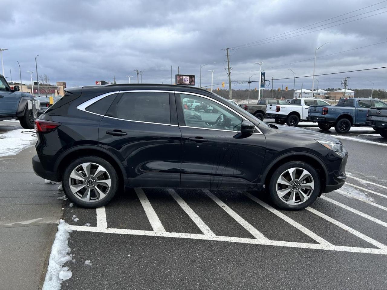 2025 Ford Escape Platinum Photo3