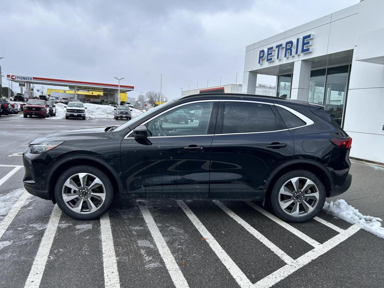 2025 Ford Escape Platinum Photo