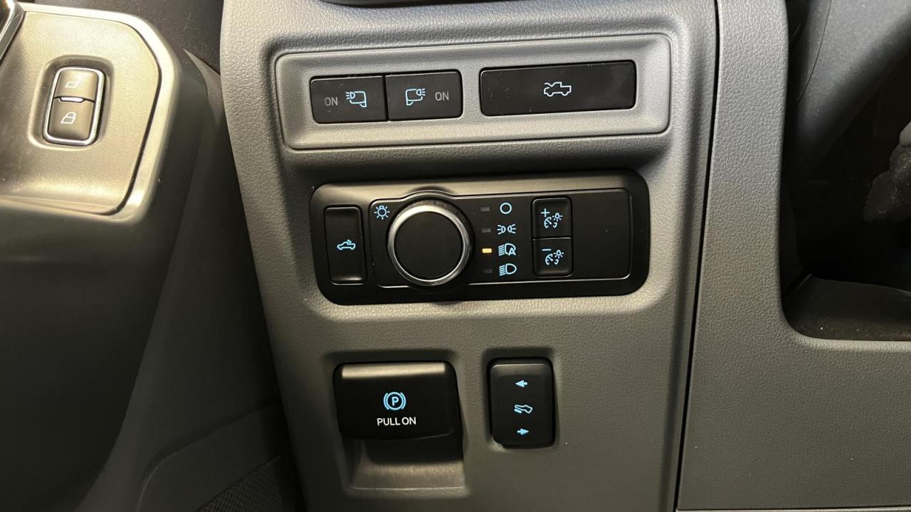 2024 Ford F-150 Lightning XLT Photo