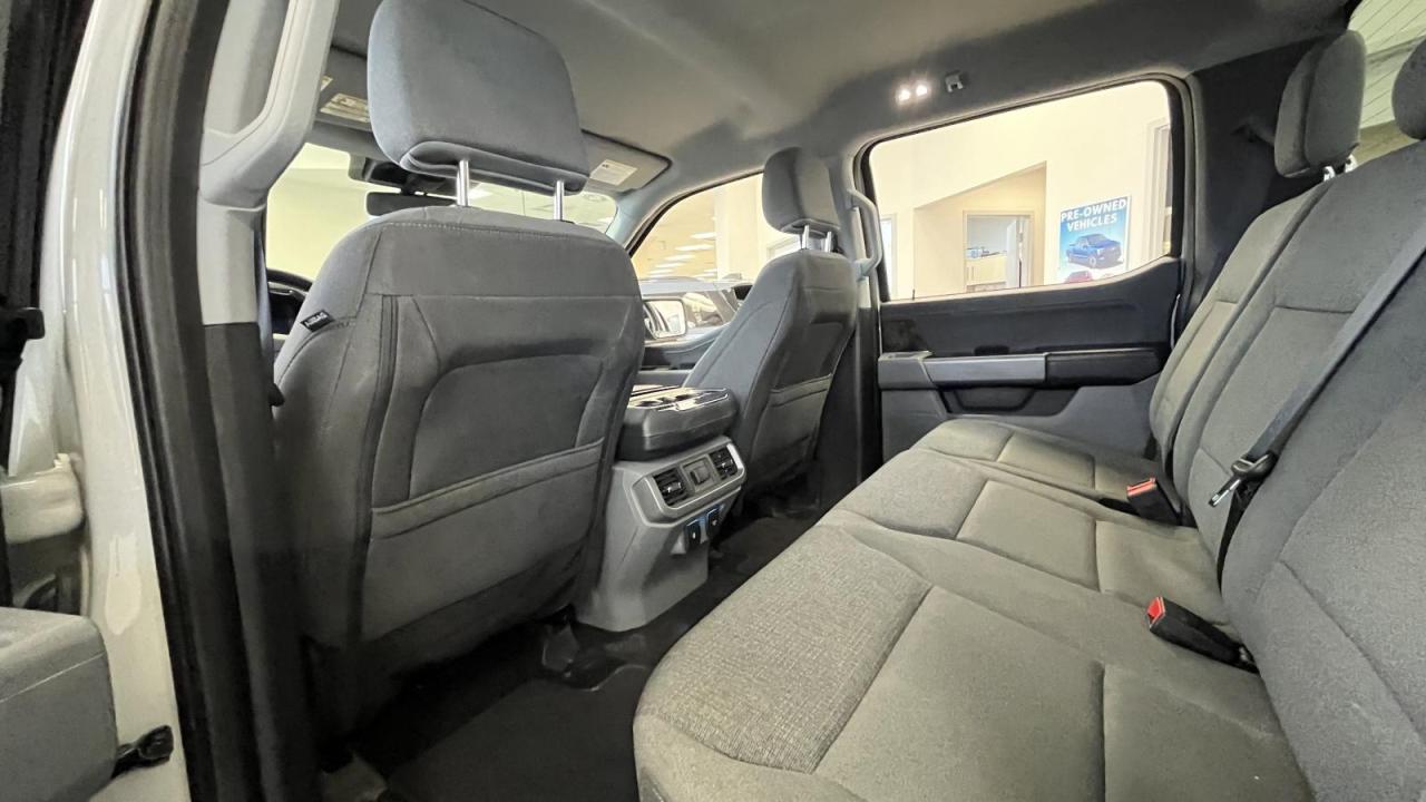 2024 Ford F-150 Lightning XLT Photo