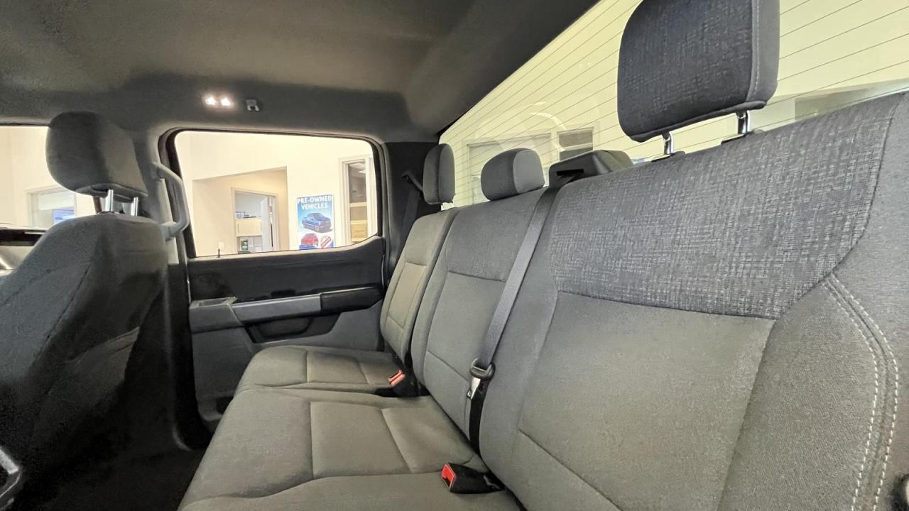 2024 Ford F-150 Lightning XLT Photo