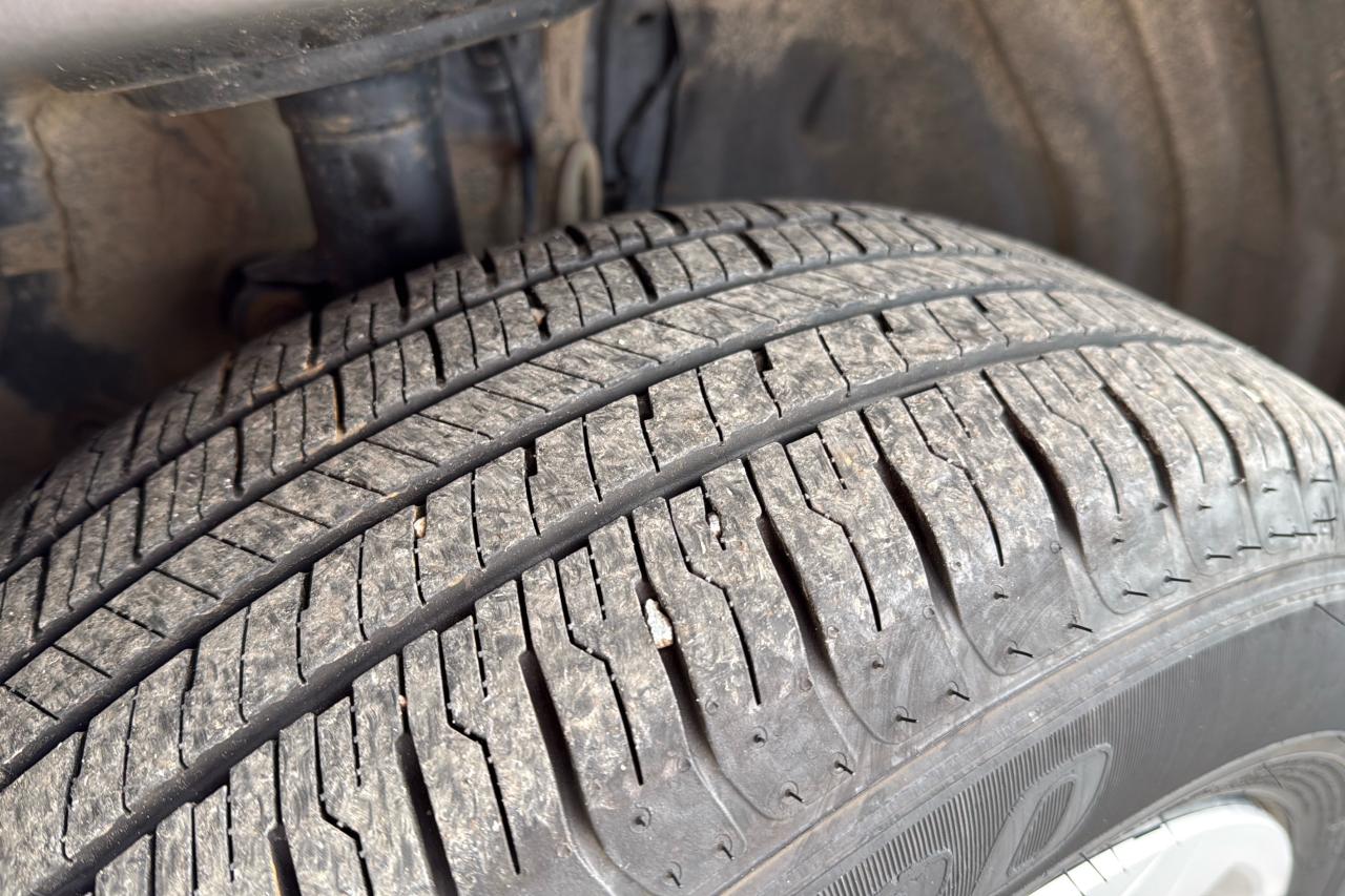 2024 Toyota RAV4 LE Photo