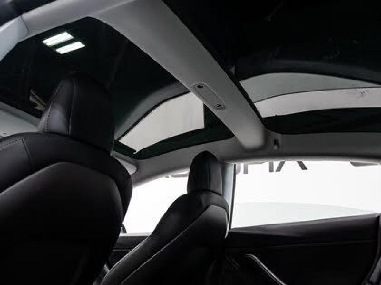 2019 Tesla Model 3 STANDARD RANGE PLUS Photo
