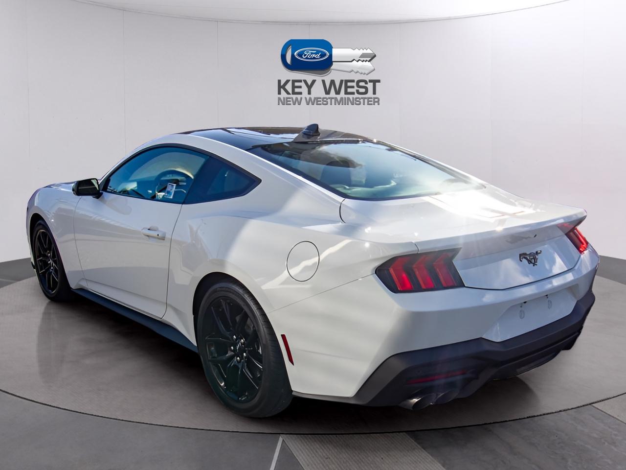 2026 Ford Mustang EcoBoost Fastback Photo1