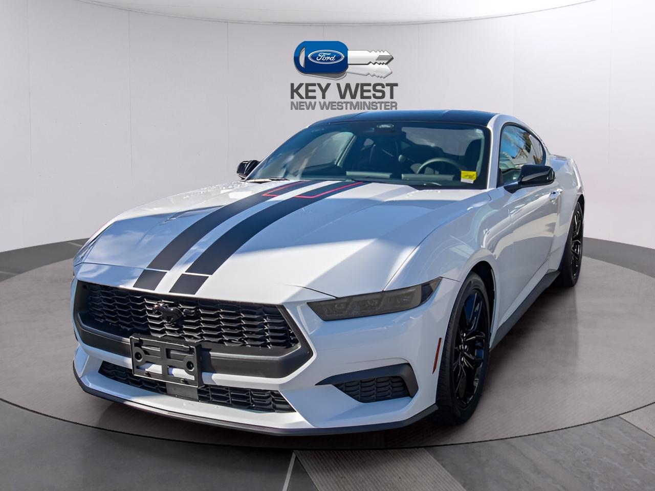 2026 Ford Mustang EcoBoost Fastback Photo0