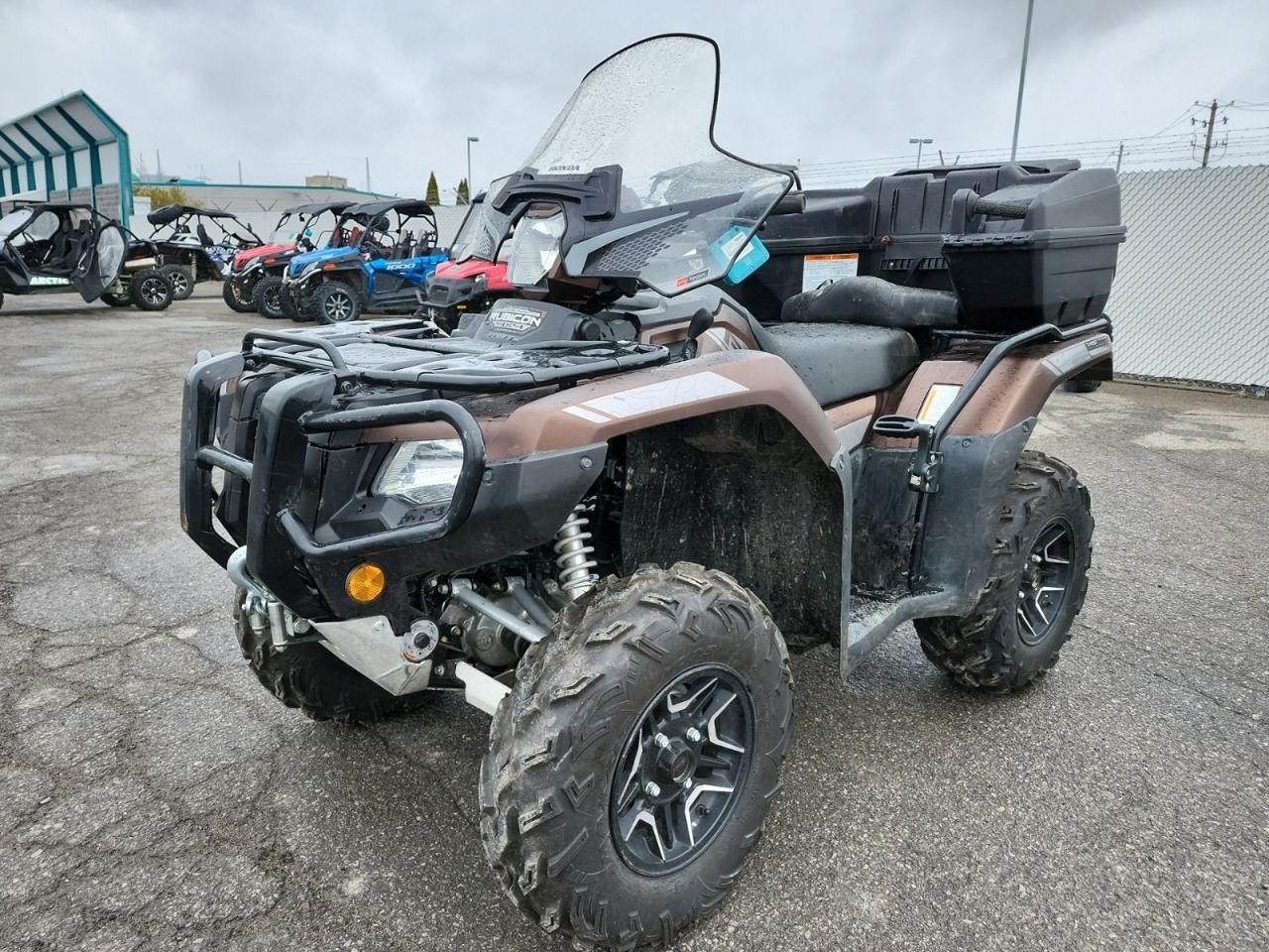 2021 Honda Rubicon Deluxe  - Photo #1