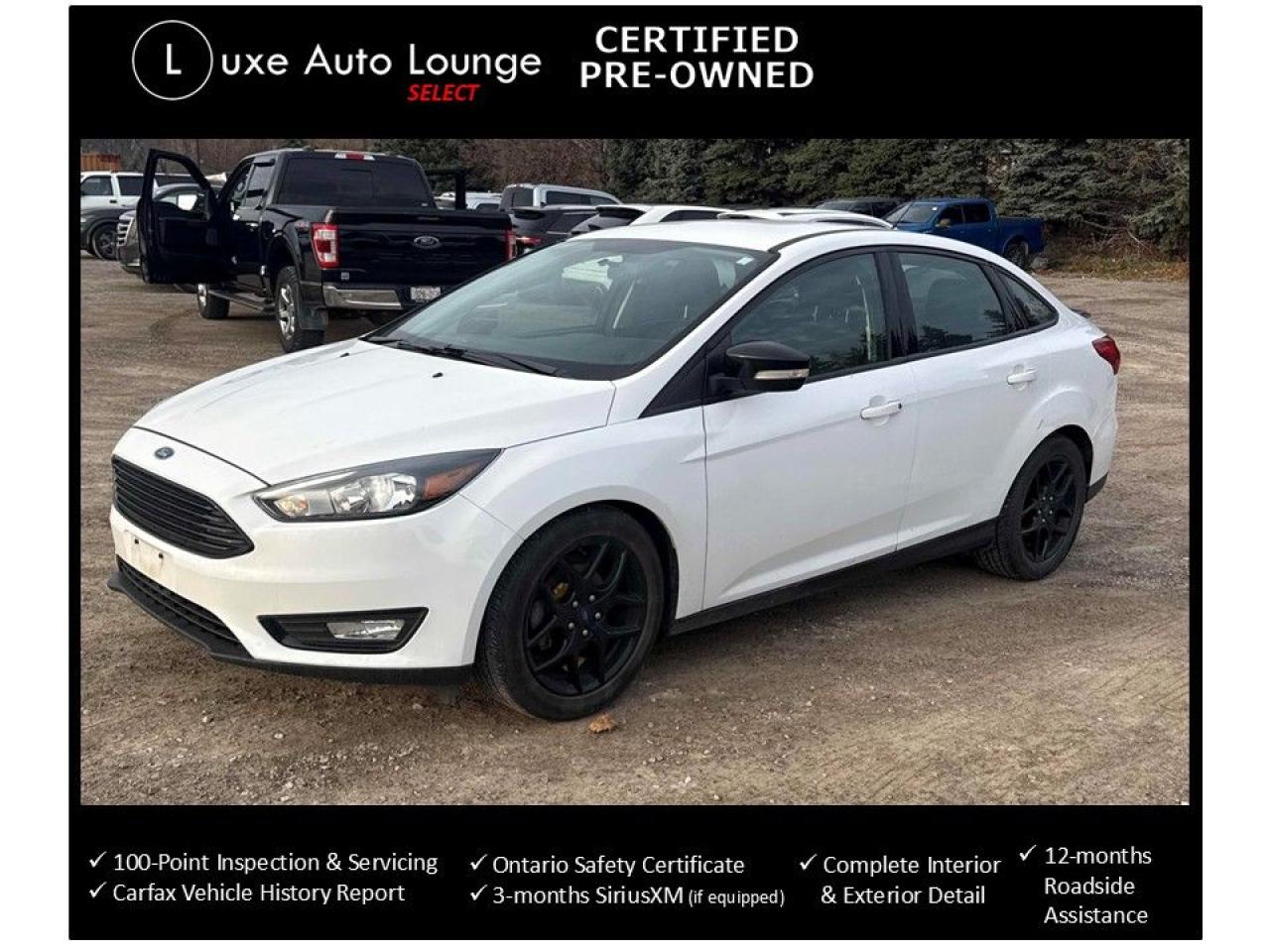 2016 Ford Focus SE - LOW KM, HEATED SEATS & STEERING WHEEL! CLEAN! Photo17