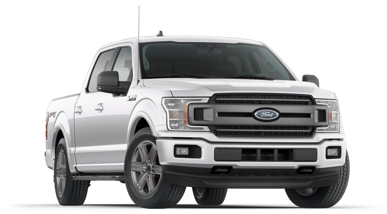 2019 Ford F-150  Photo3