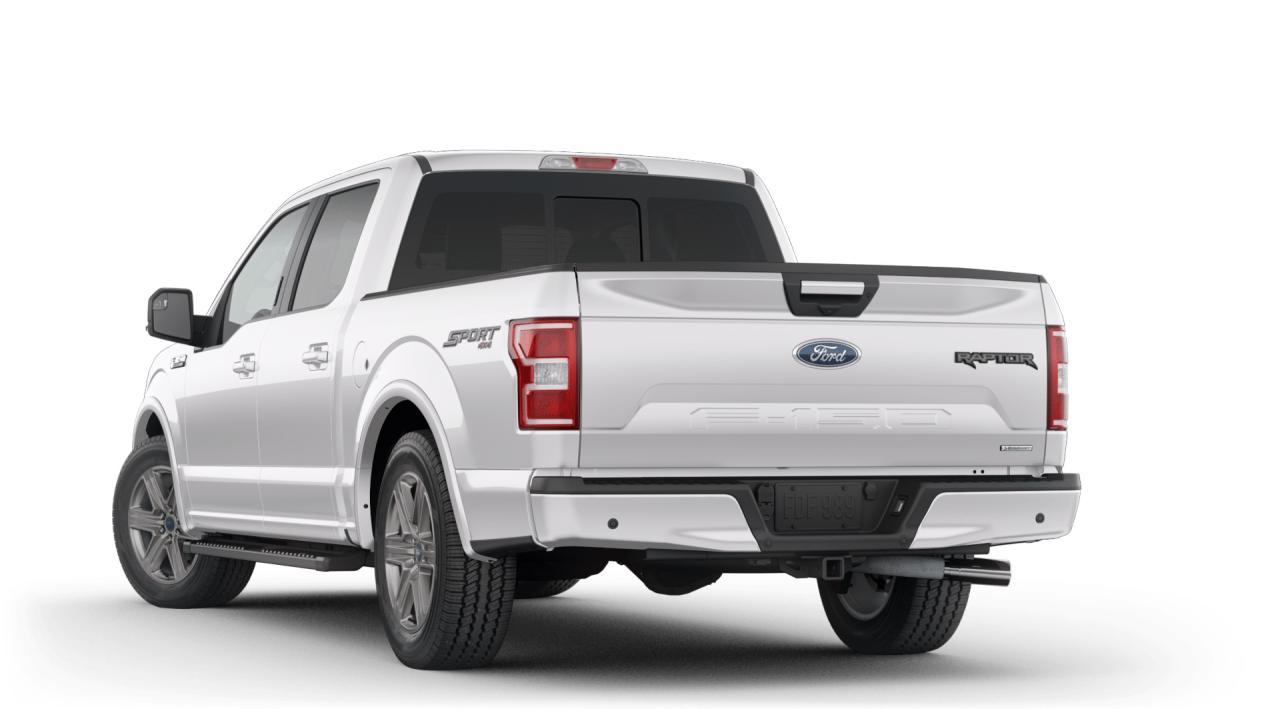 2019 Ford F-150  Photo1