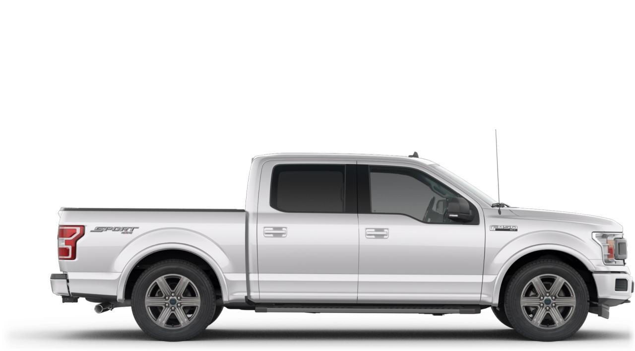 2019 Ford F-150  Photo4