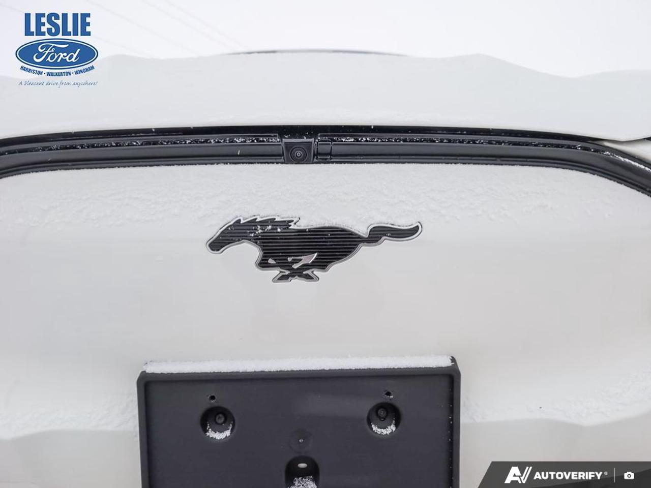 2024 Ford Mustang Mach-E Premium AWD Photo