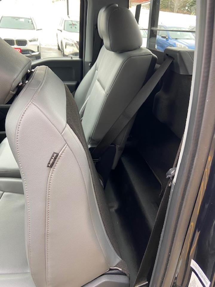 2022 Ford F-150 XL Photo