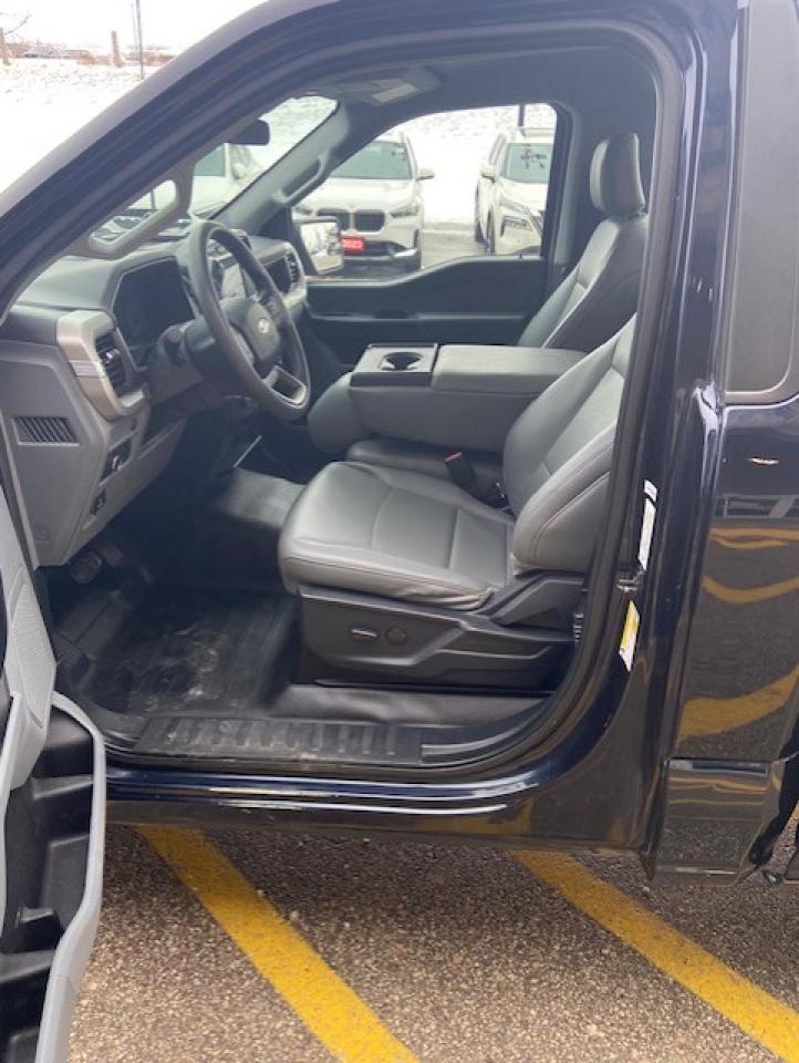 2022 Ford F-150 XL Photo