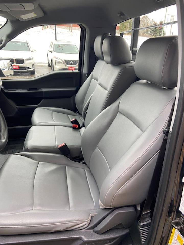 2022 Ford F-150 XL Photo