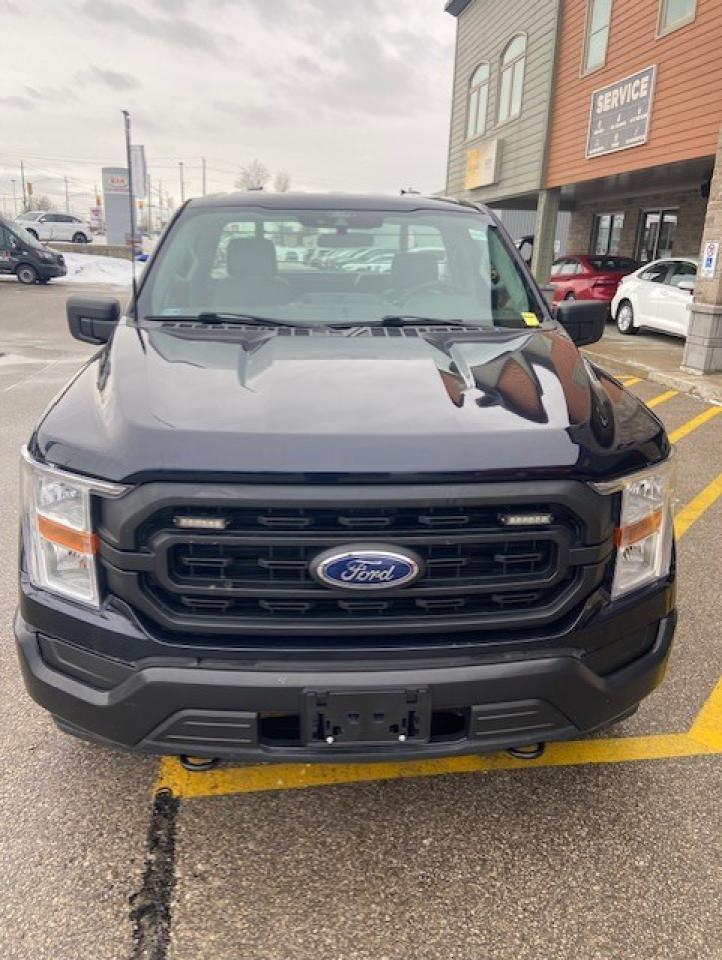 2022 Ford F-150 XL Photo