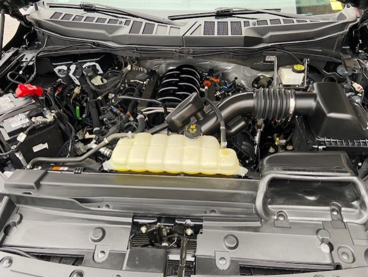 2022 Ford F-150 XL Photo