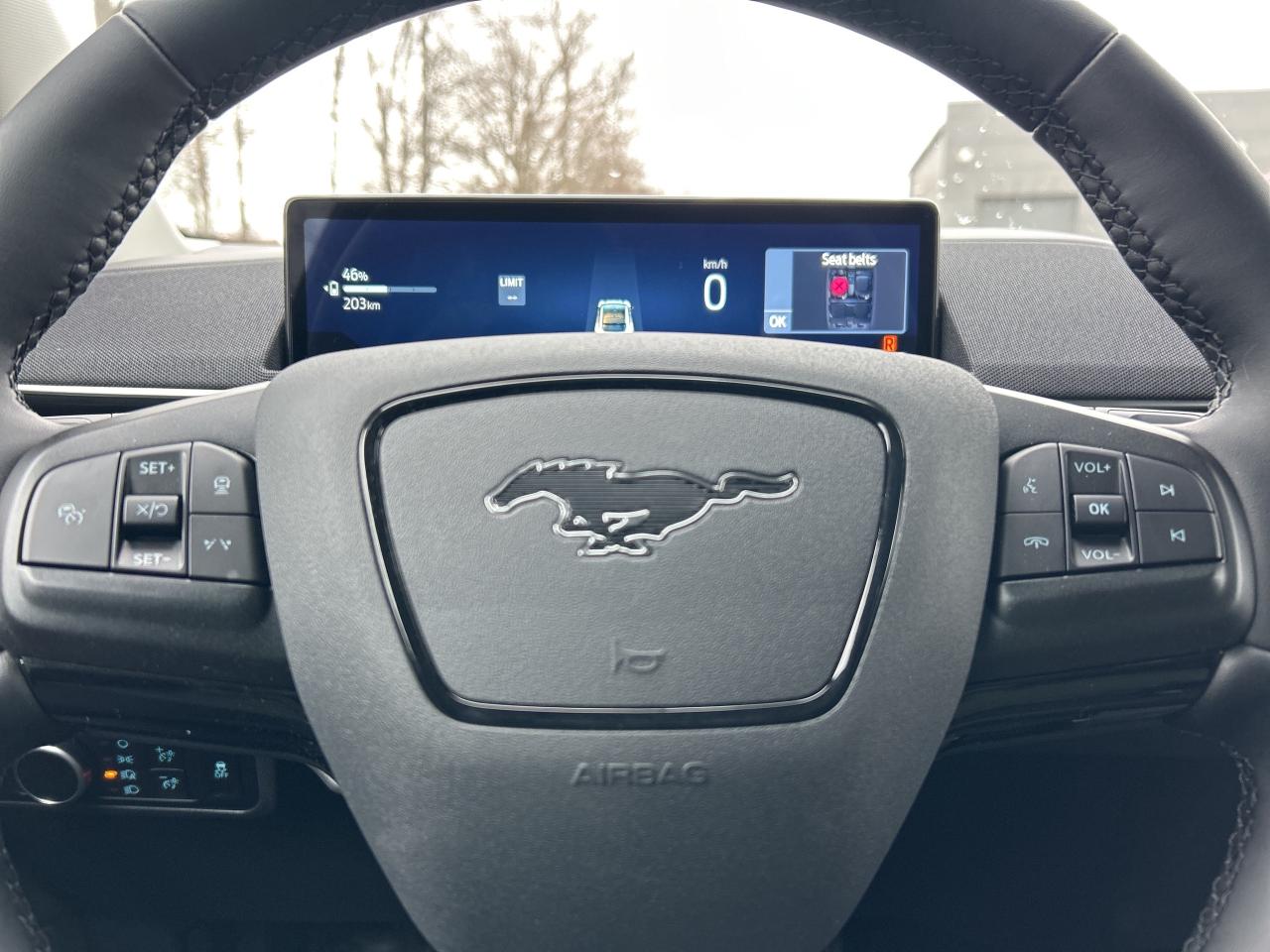 2025 Ford Mustang Mach-E SELECT AWD 100A Photo