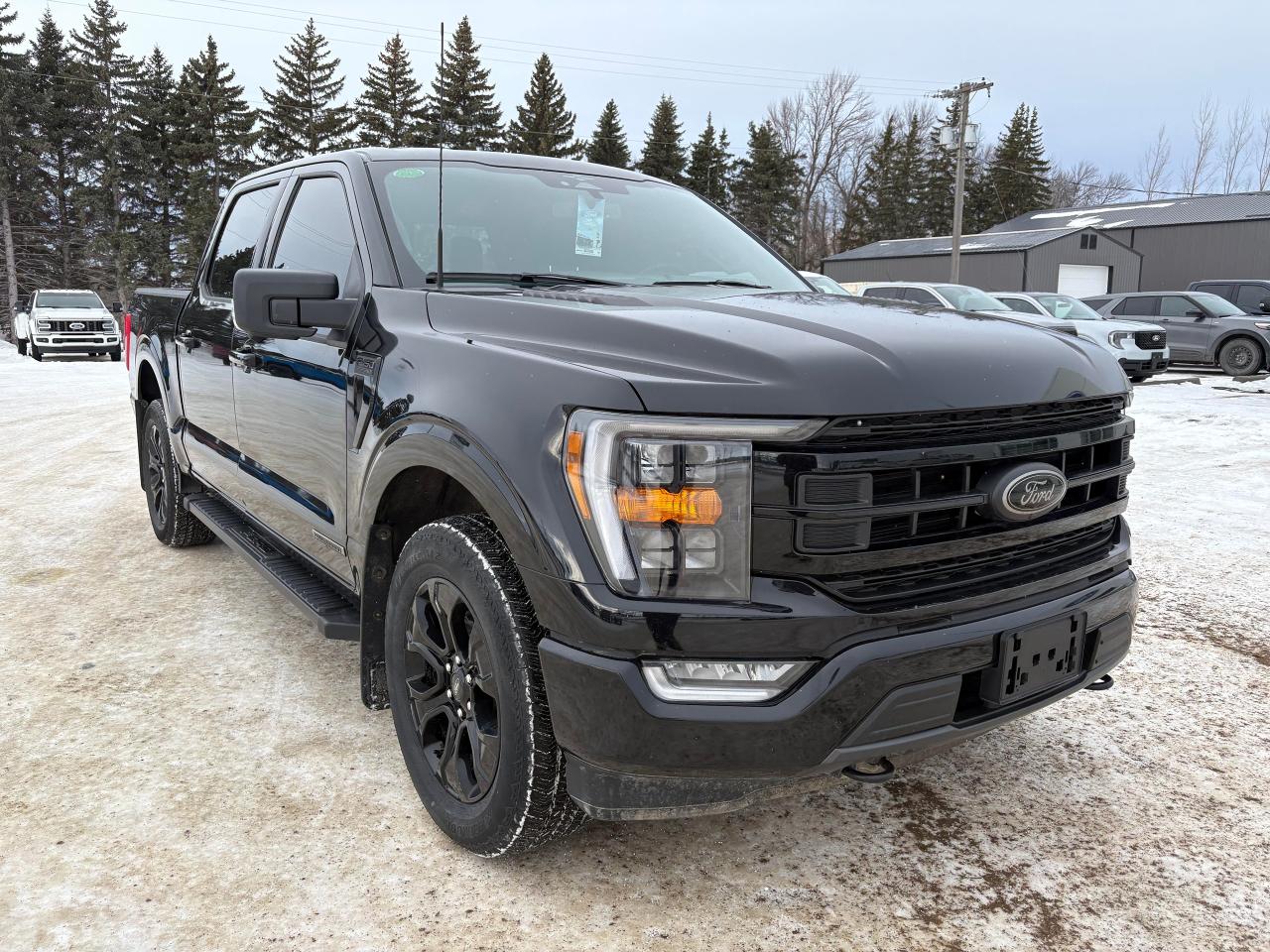 2023 Ford F-150 XLT 4WD SuperCrew 5.5' Box Photo3