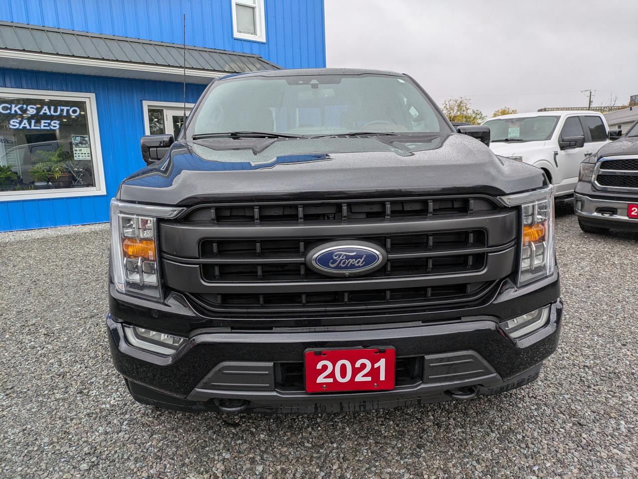 2021 Ford F-150 Lariat 4WD SuperCrew 5.5' Box Photo