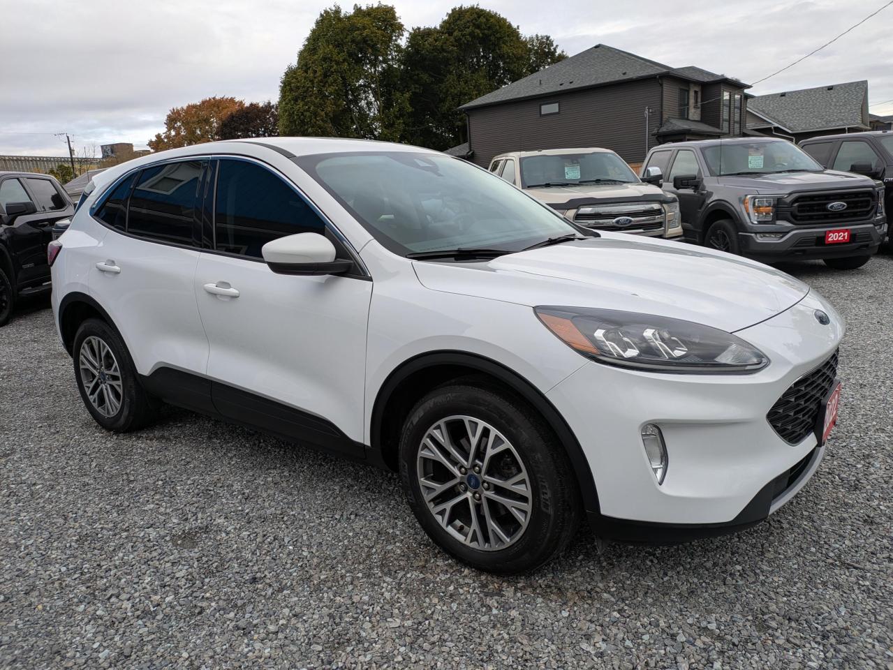 2022 Ford Escape SEL AWD Photo