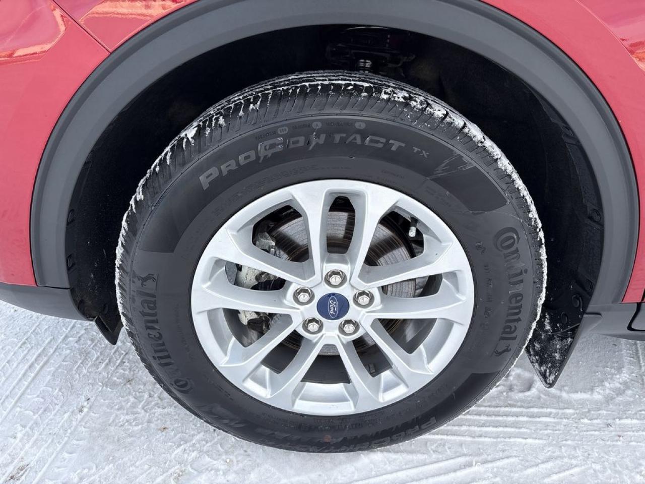 2022 Ford Escape SE Photo2