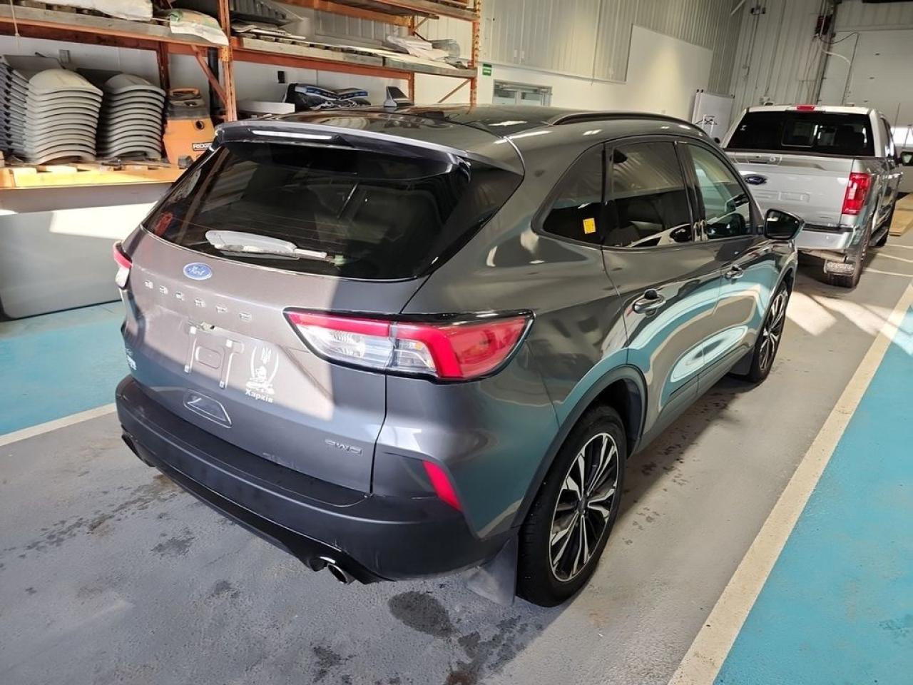 2022 Ford Escape SE Photo2