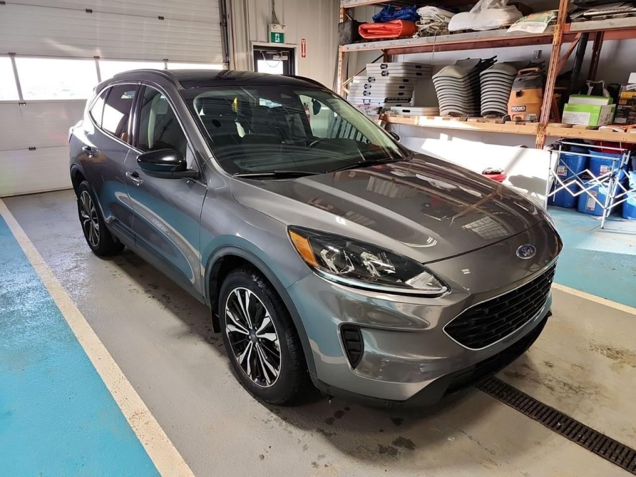 2022 Ford Escape SE Photo1