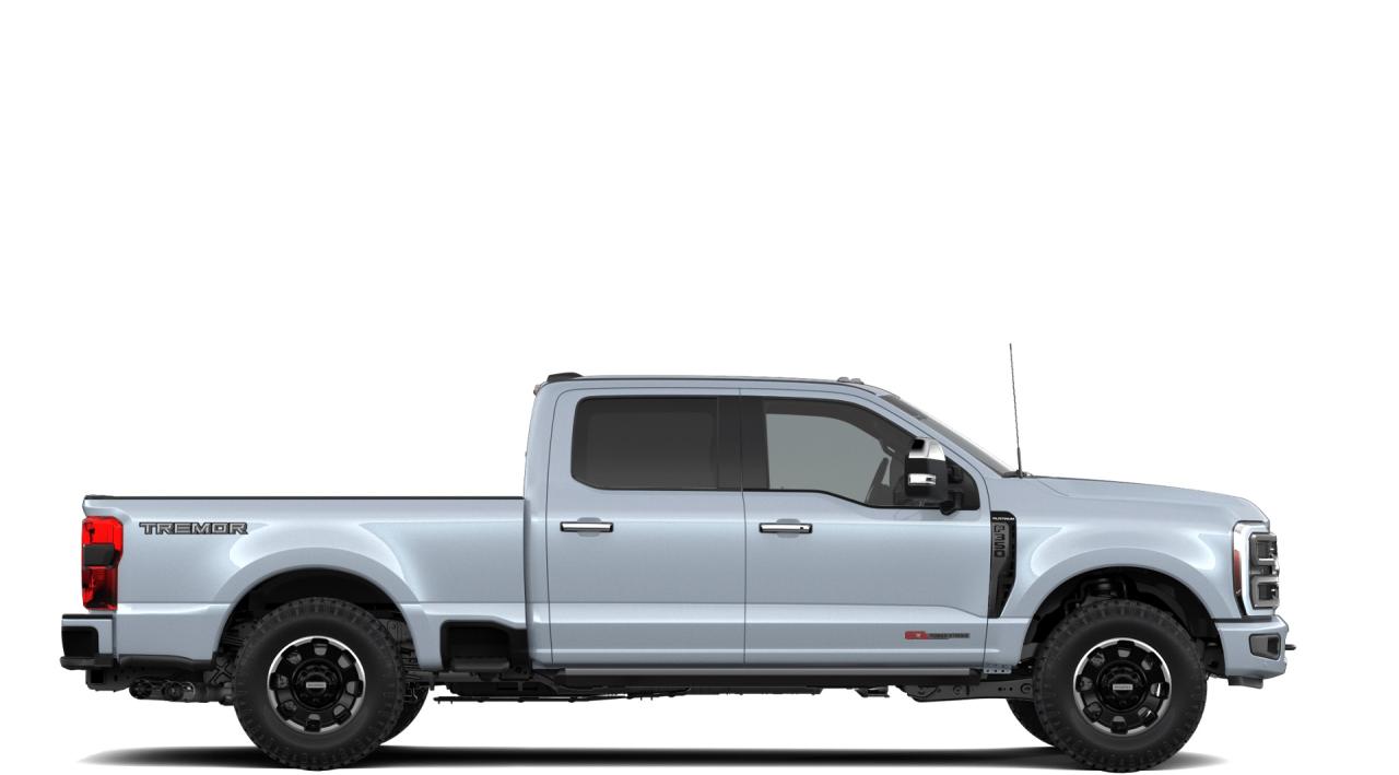 2026 Ford F-350 Super Duty SRW Platinum Photo4