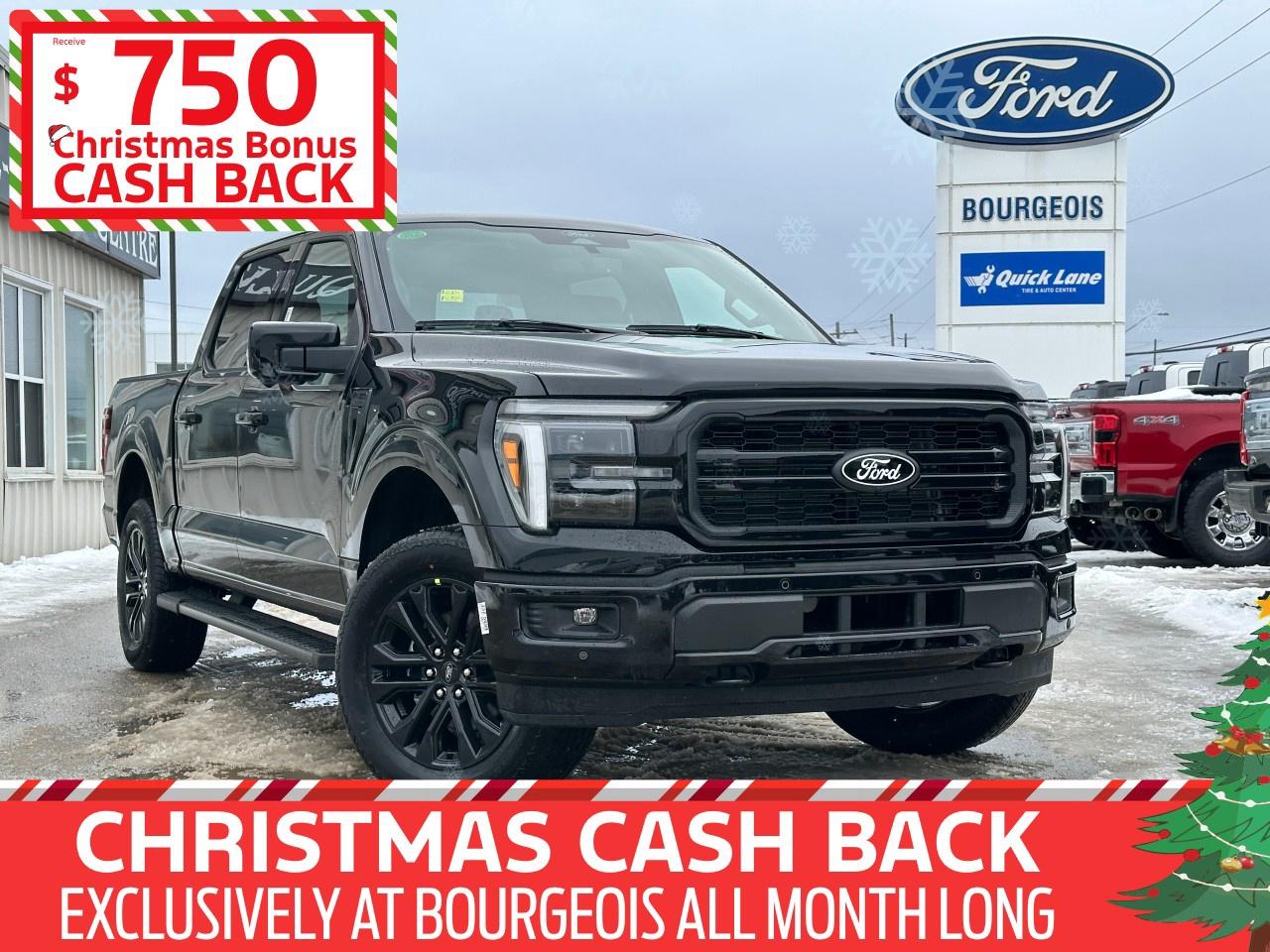 2025 Ford F-150 Lariat 4WD SuperCrew 5.5' Box Photo