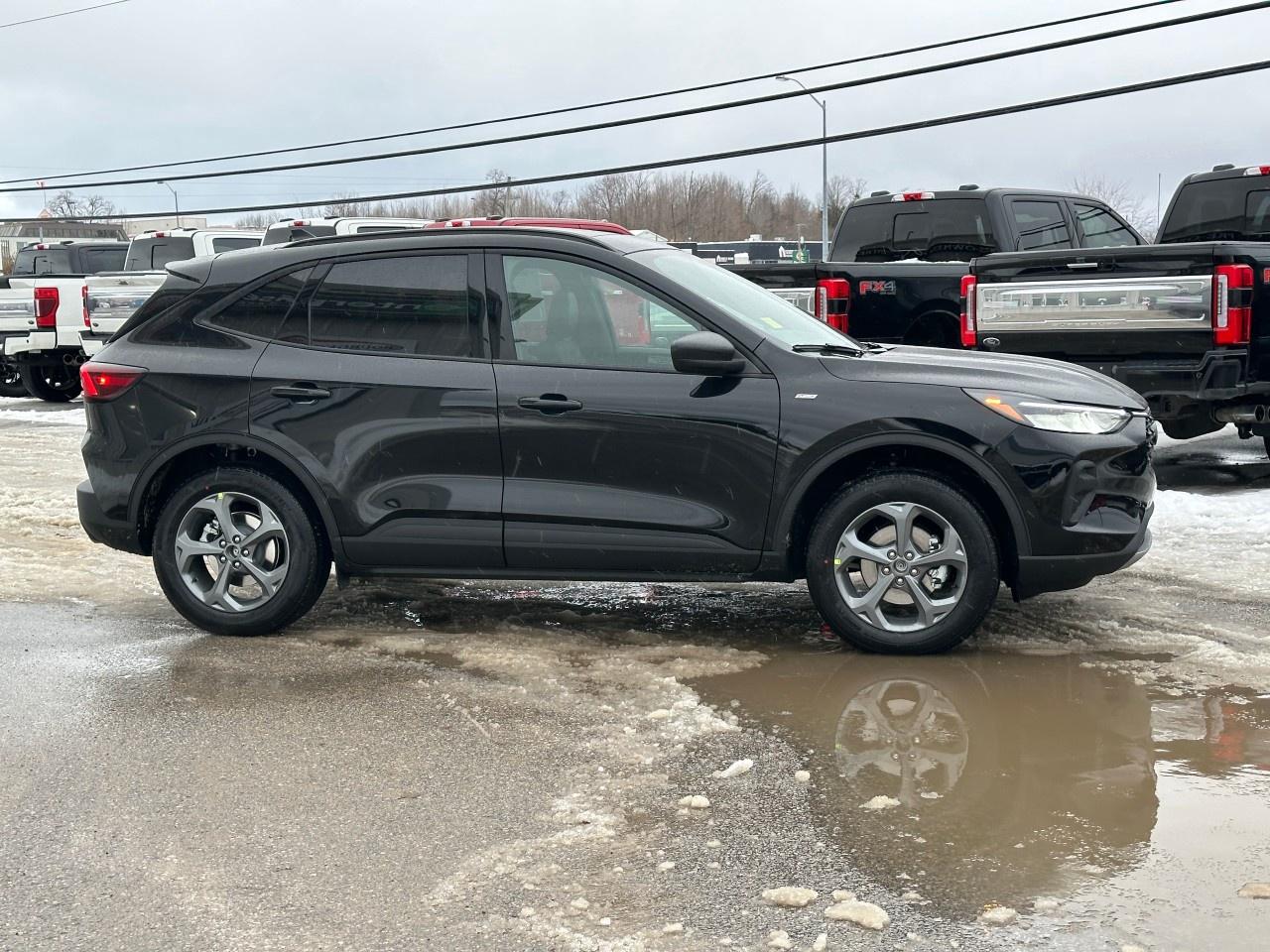 2026 Ford Escape ST-Line AWD Photo