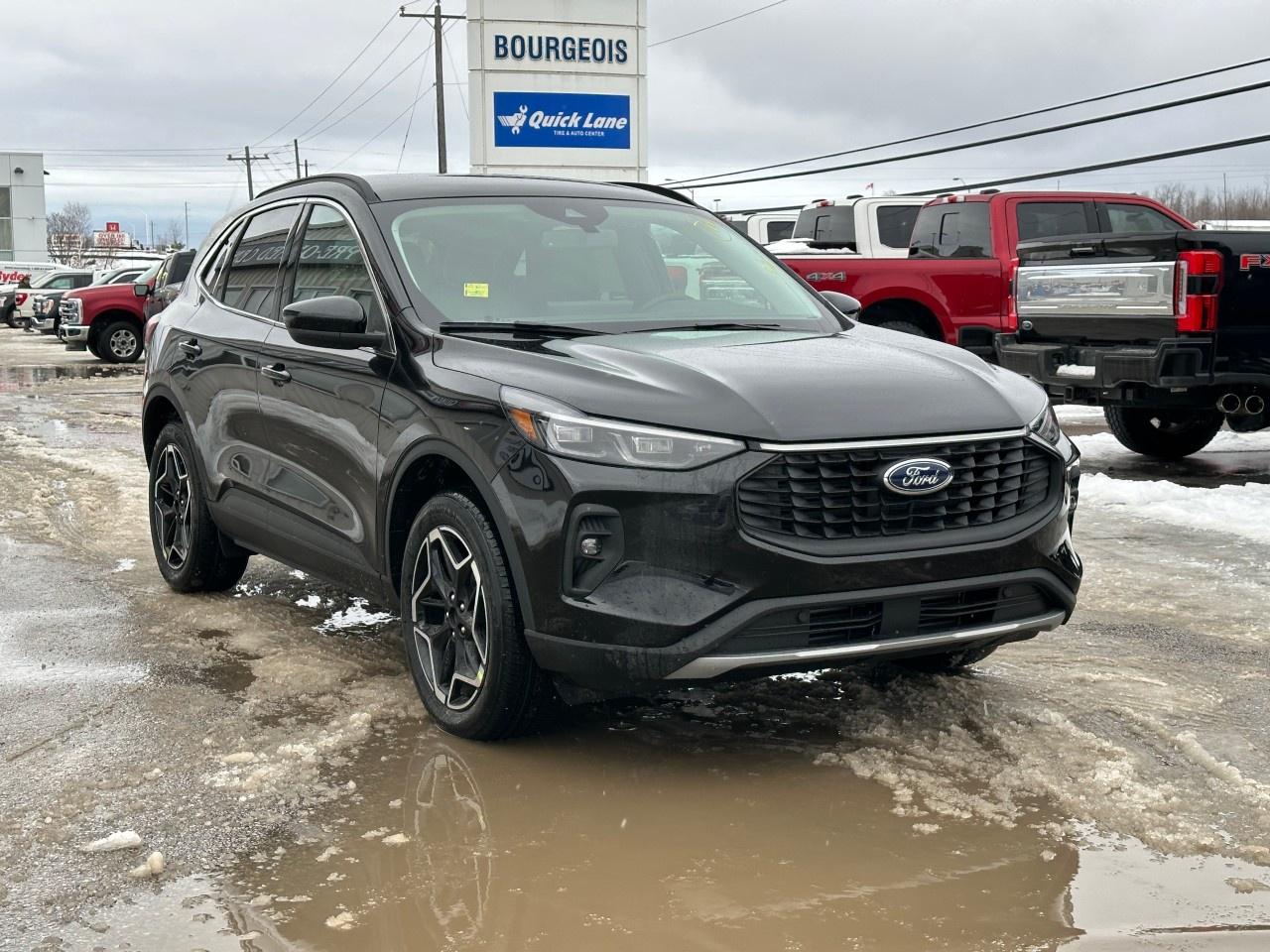 2026 Ford Escape Platinum AWD Photo3