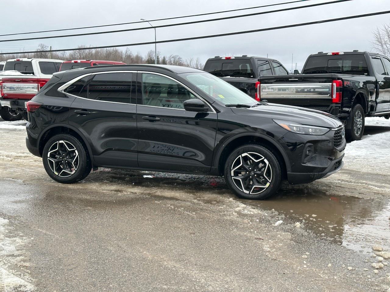 2026 Ford Escape Platinum AWD Photo4