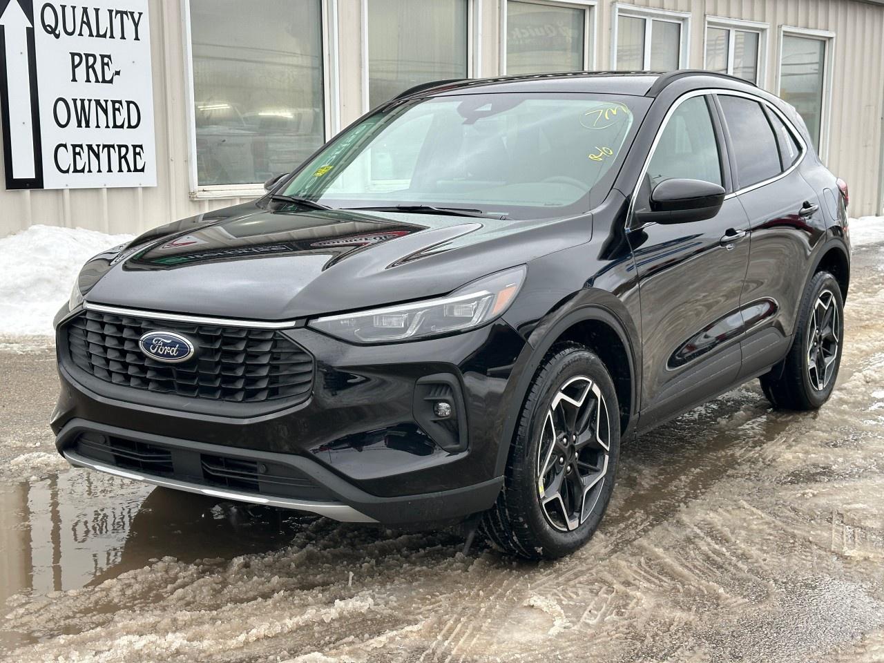 2026 Ford Escape Platinum AWD Photo