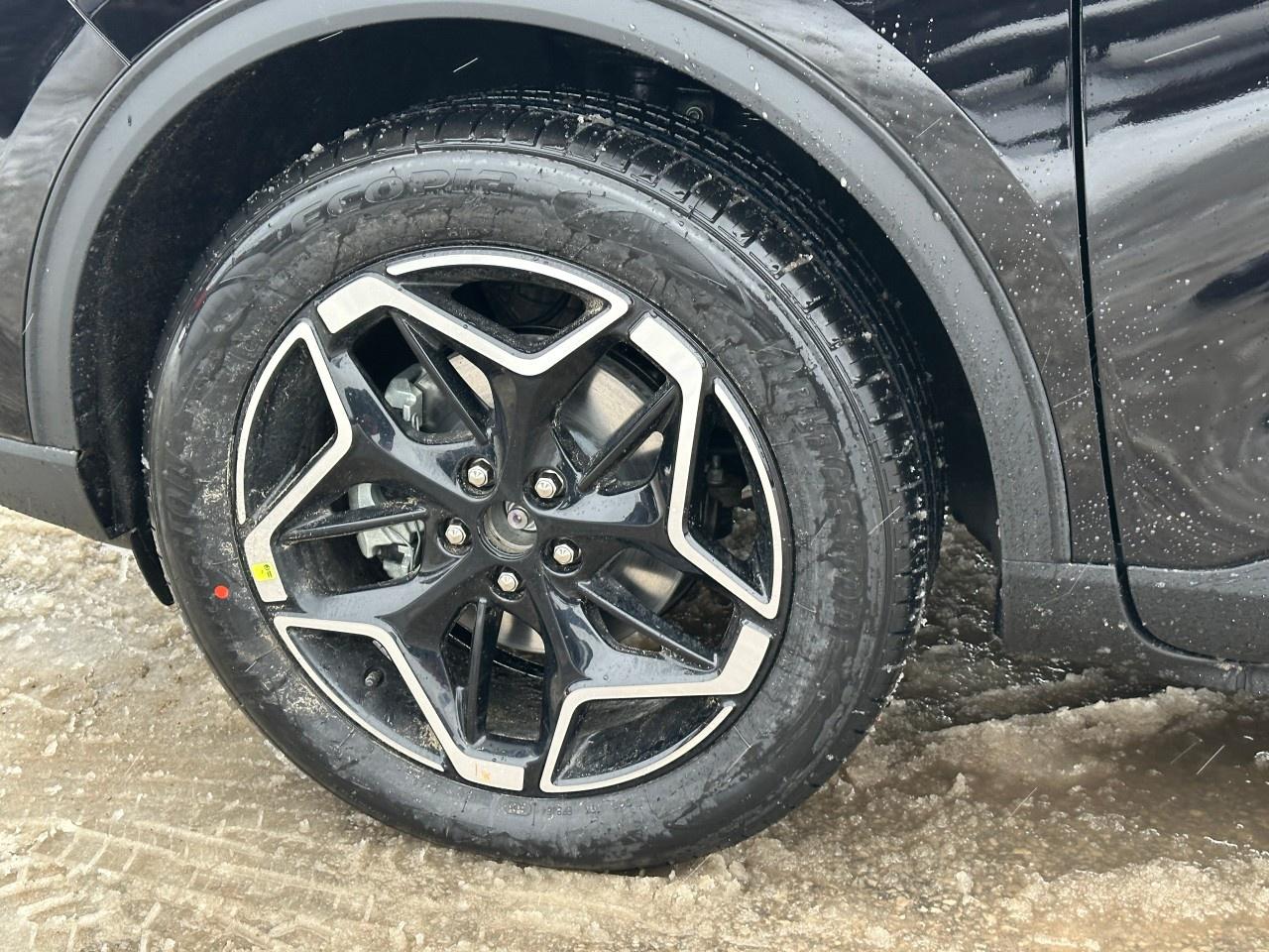 2026 Ford Escape Platinum AWD Photo