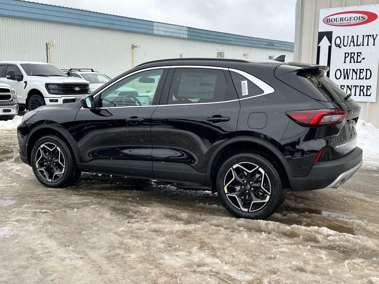 2026 Ford Escape Platinum AWD Photo