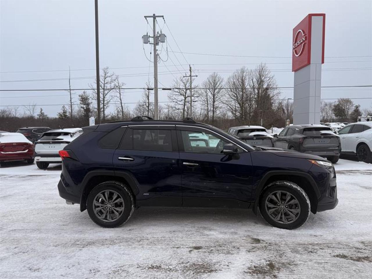 2023 Toyota RAV4 Hybrid Limited AWD Photo